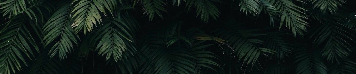 Trần Trọng Tiến ✪