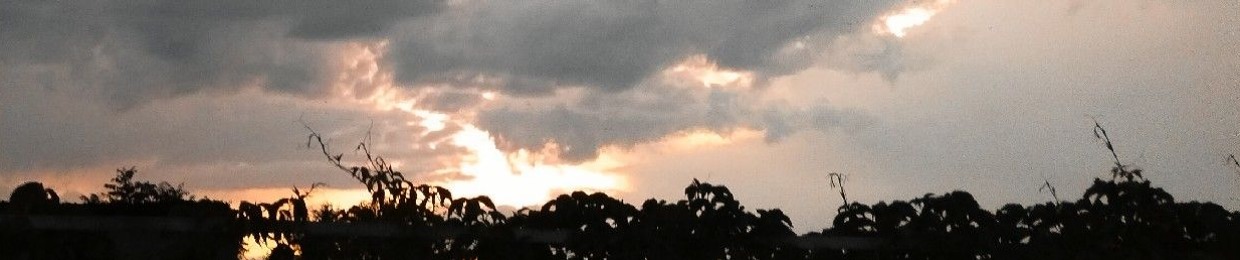 umbra