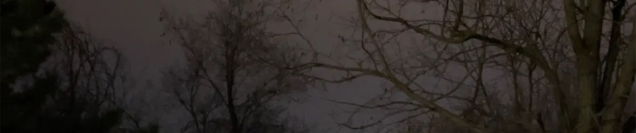 @первыйфевраль