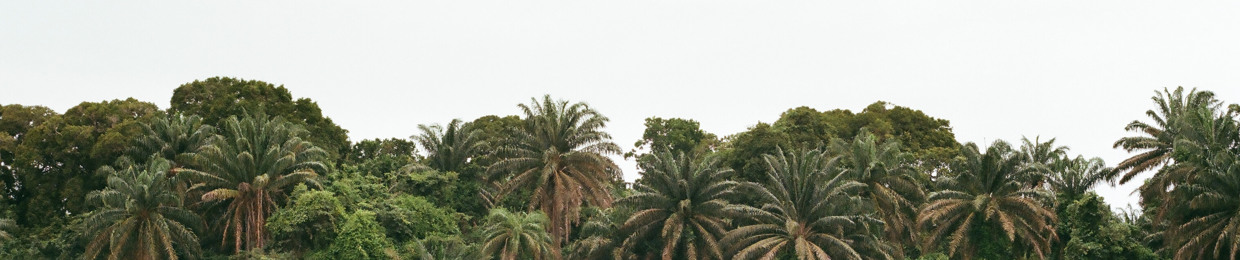 zoumi.