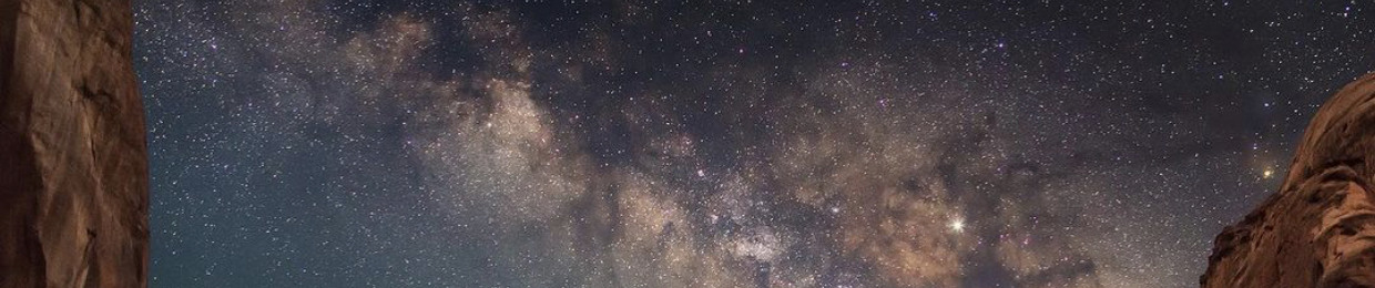 𝐈’𝐦 𝐚 𝐜𝐚𝐠𝐞 𝐢𝐧 𝐚 𝐬𝐞𝐚𝐫𝐜𝐡 𝐨𝐟 𝐚 𝐛𝐢𝐫𝐝 ོ