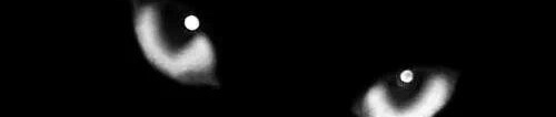 SoundCloud banner for @gas