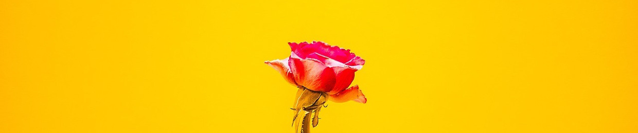 gxldbloom