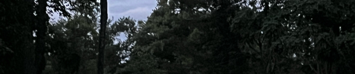 zoo