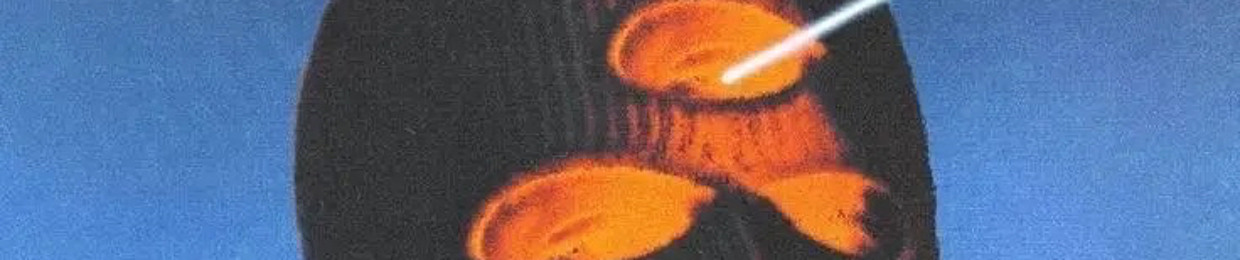 brøke bøi$