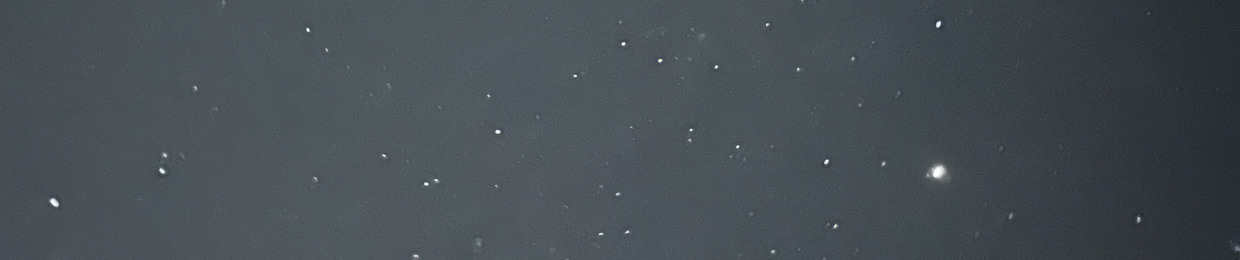 EndlessTim9