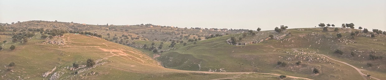عبدالمحسن العقيلي