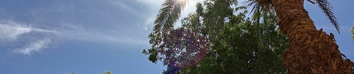 شَذراتُ نَحو النورِ