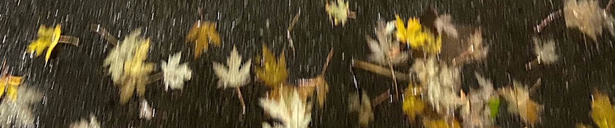 eebo