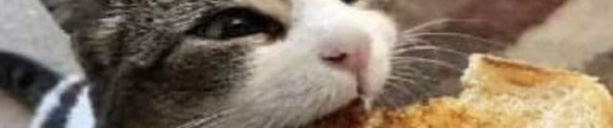 ToasterBath_Dev