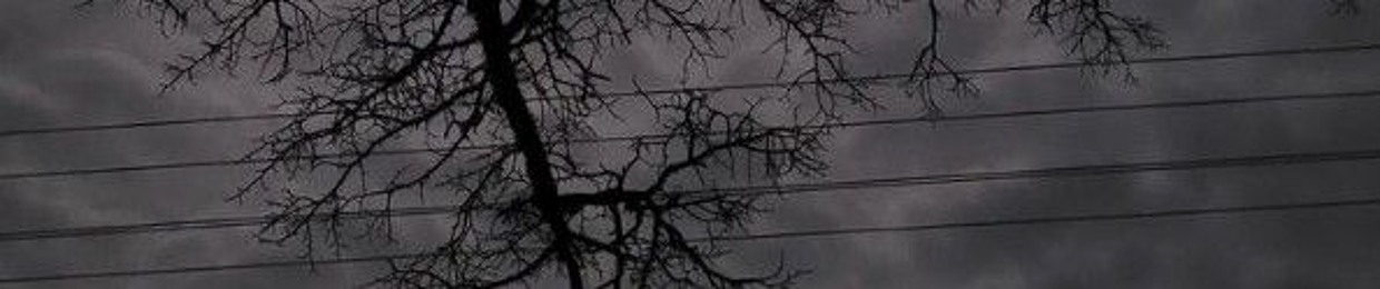 egory.sh