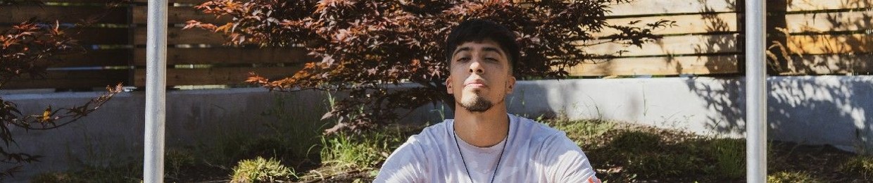 Flex_Flows