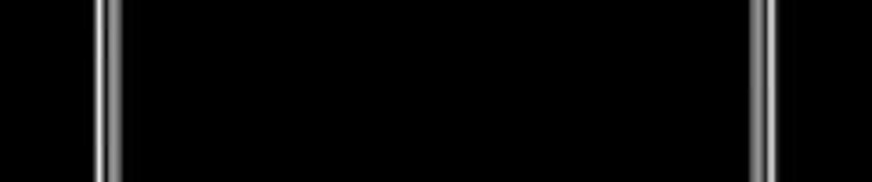 taiga