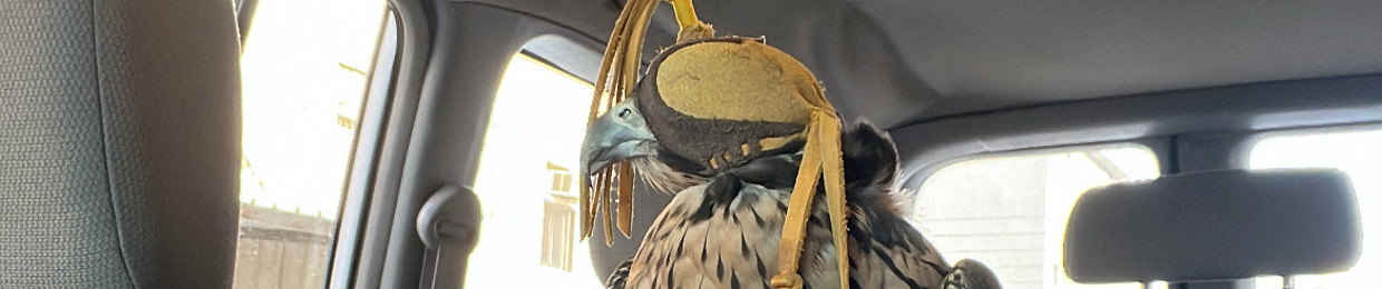 kk8ri