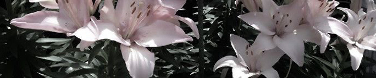 ˚₊‧꒰ა ♱ ໒꒱ ‧₊˚