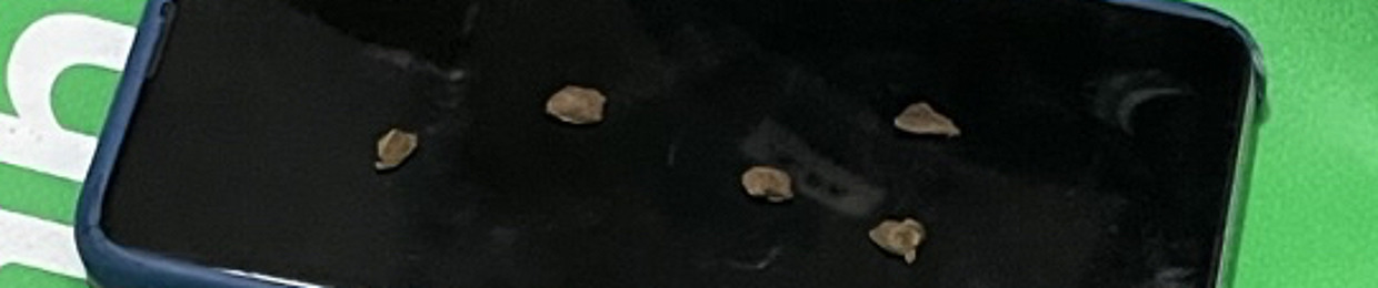 moneyfloweed