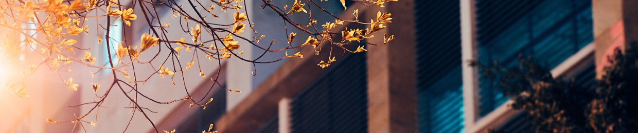 Đặng Thị Ngọc Vân