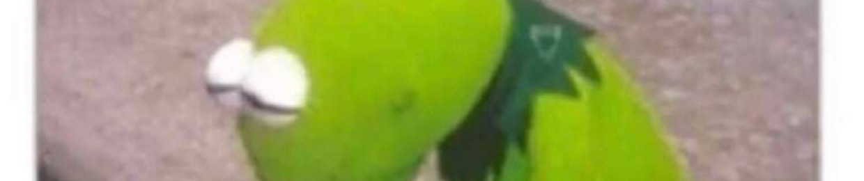 aydans pp