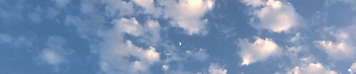 Mohamammd Mohammadzadeh