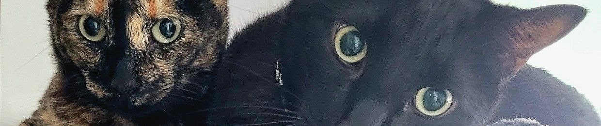 Mauro