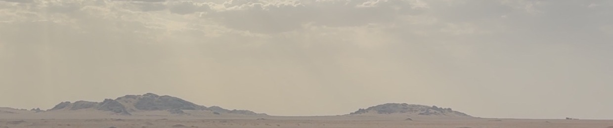 ابو محمد