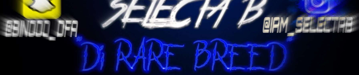 Selecta B ( Di Rare Breed )