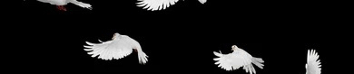 𝙴 𝙼 𝙼 𝙸 𝙽 𝙰 𝚃 𝙴✰