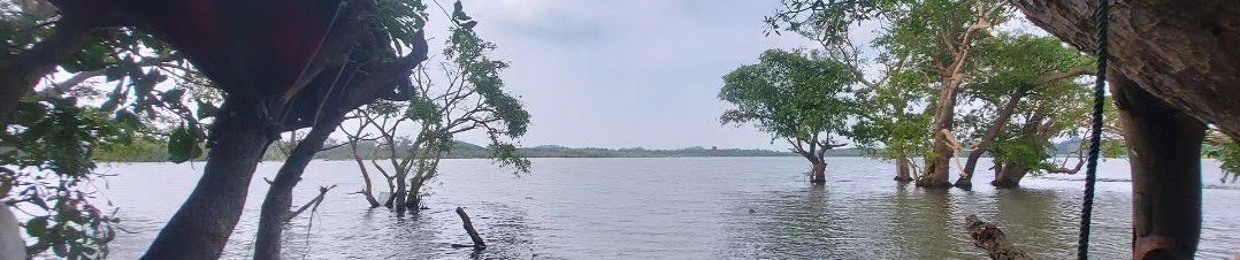 Sudhara97