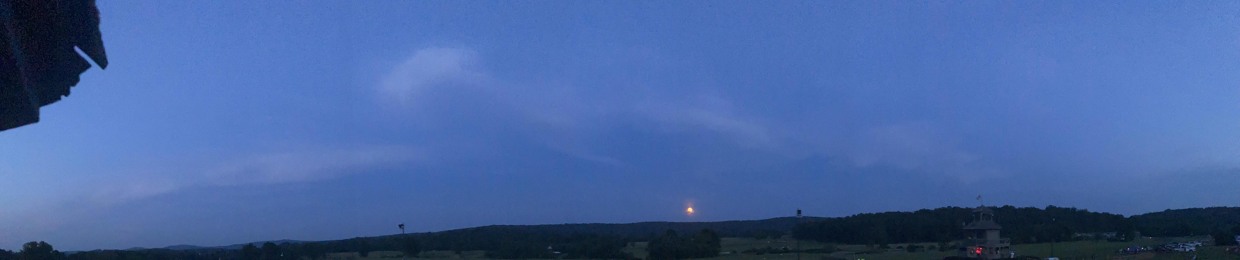 ⭑⚝⭑derpy patato⭑⚝⭑