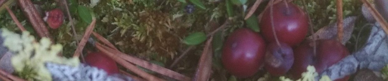 Светлана Лисицына