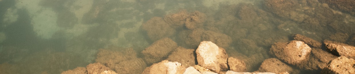 carmen 🧜🏻‍♀️