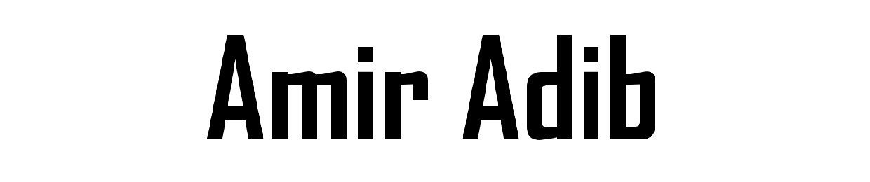 Amir Adib