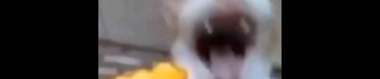 '؍`°, ٭ 6:08.«★`↓
