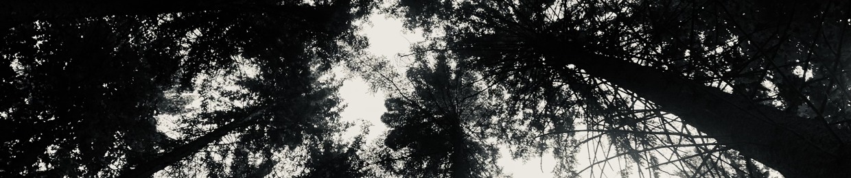 kvrlxs