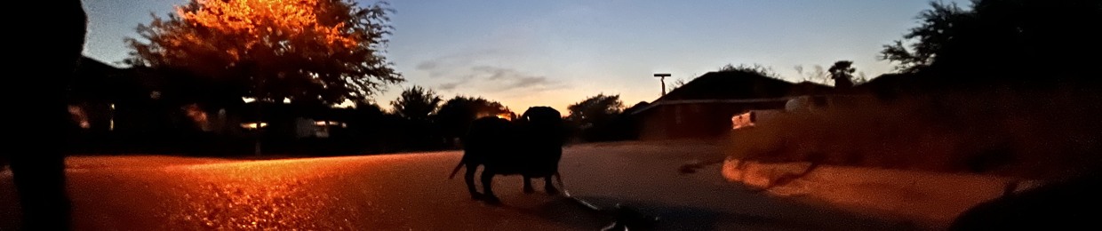 camelwithanR