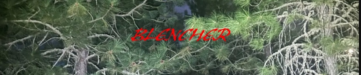 YVNG BL3NCHER