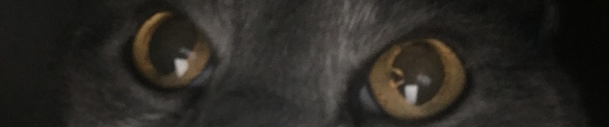 Linda_ Angeliiq1981