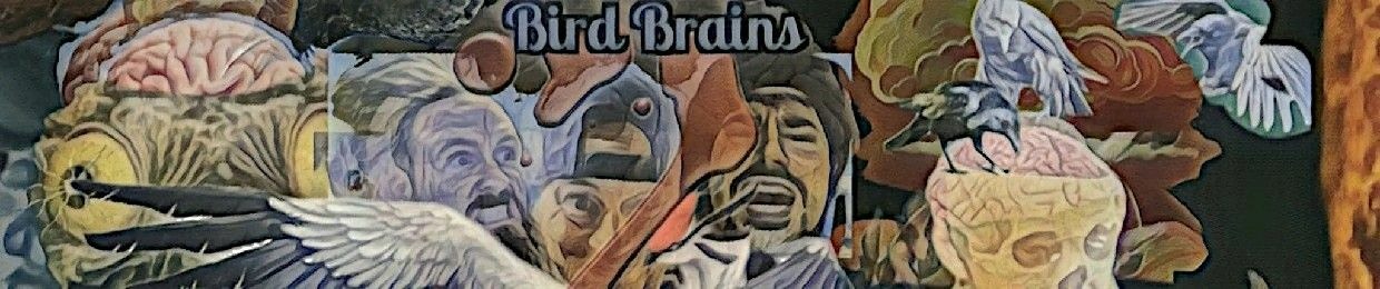 🧠 Bird Brains 🧠