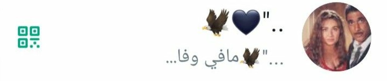 Mohamed Msad Abo Khreba