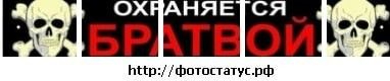 никита тиктоник