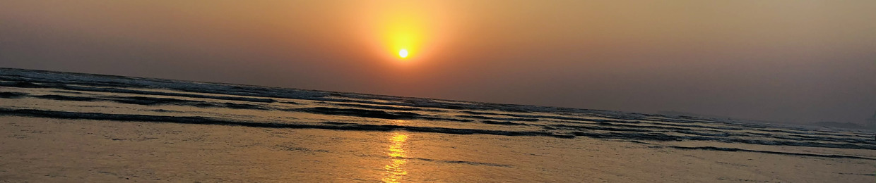 Adeel Warraich