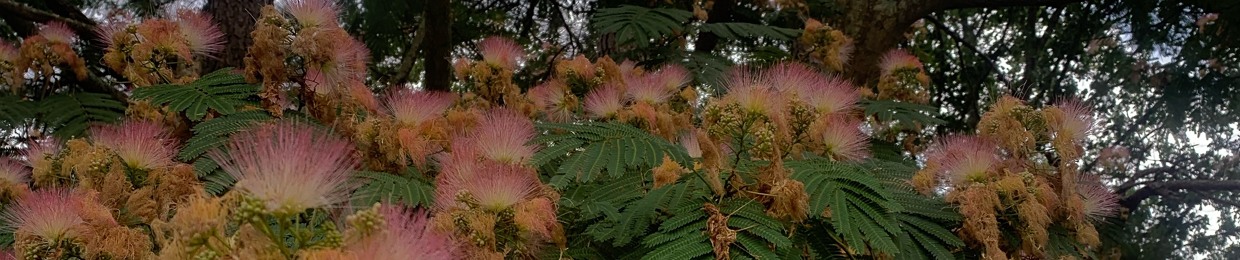 ✨richythatsmydawg✨☠️💕