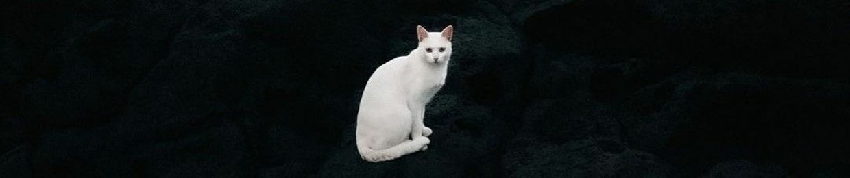 AAA