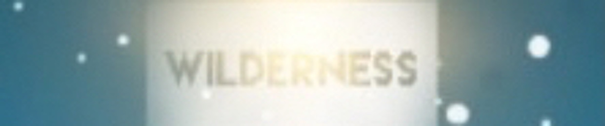 Wilderness 6