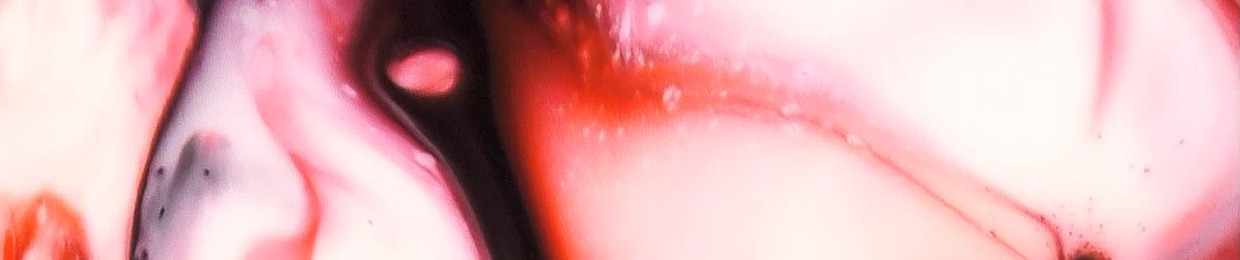 JAKE VERSUS THE WORLD