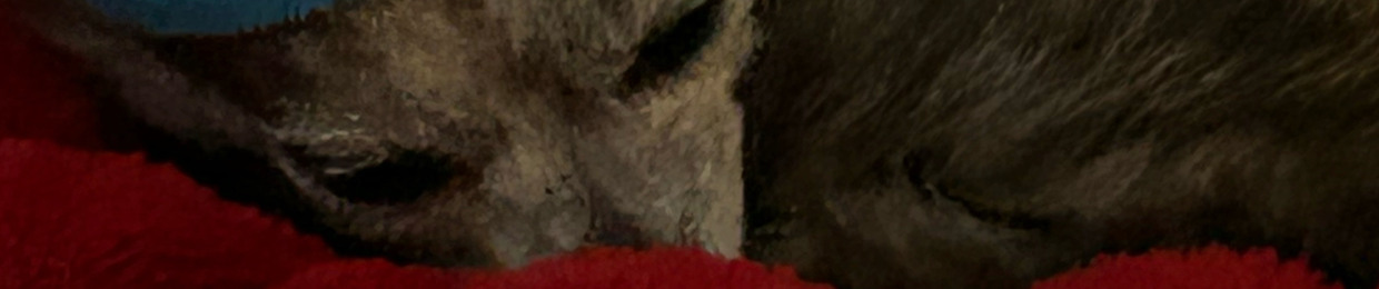 PIdividf