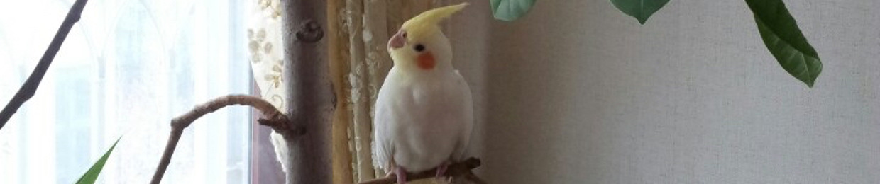 gyugreen
