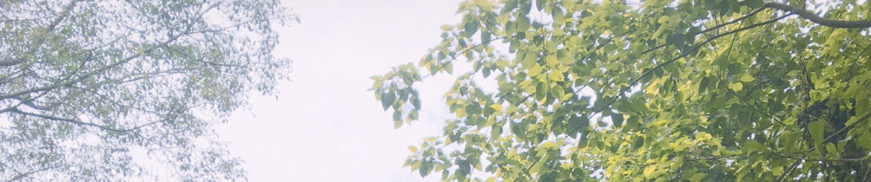 An Đỗ Trường
