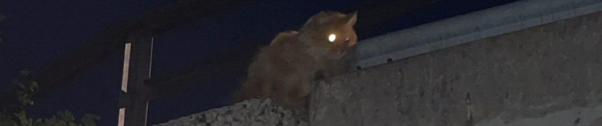 noa