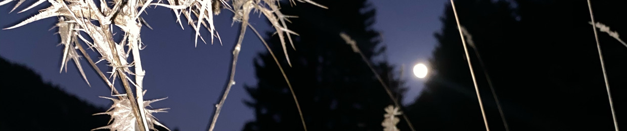 siålviå